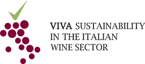 VIVA Sustainability in the italian wine sector